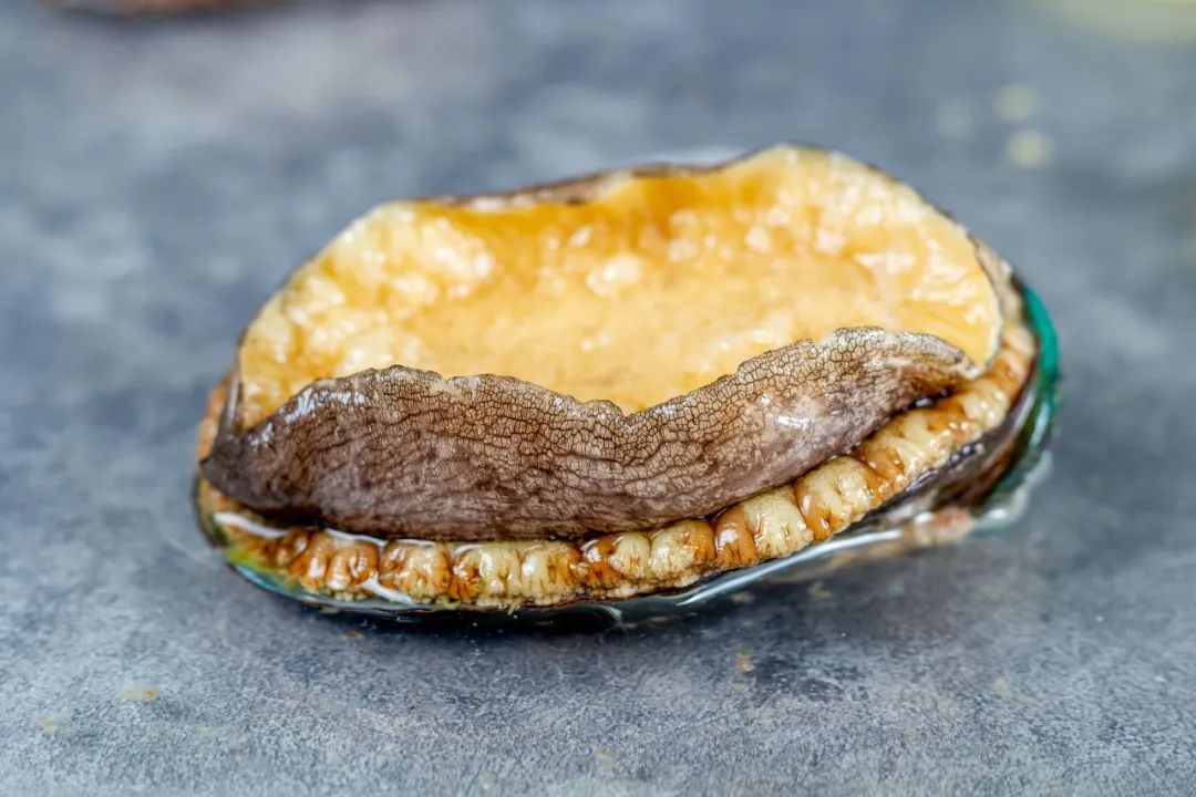 一百多一斤的鮑魚干竟然可能是假的？！咋辨別